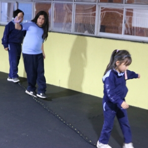 Día de la Actividad Física